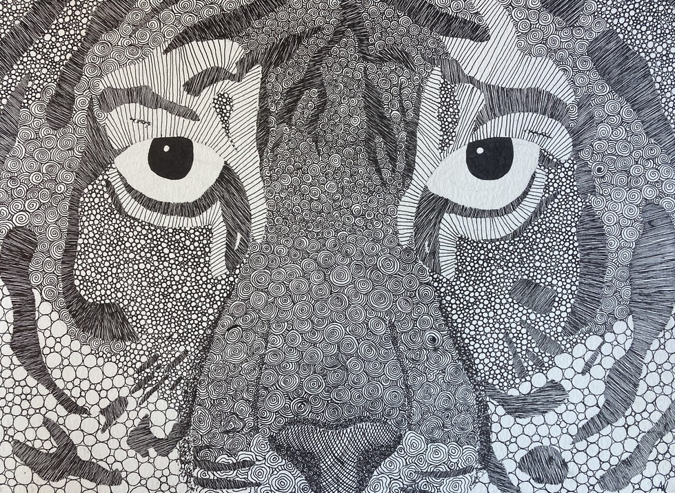Drawing of Tiger